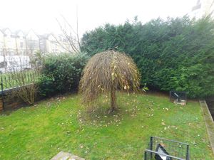 Photo 11- click for photo gallery